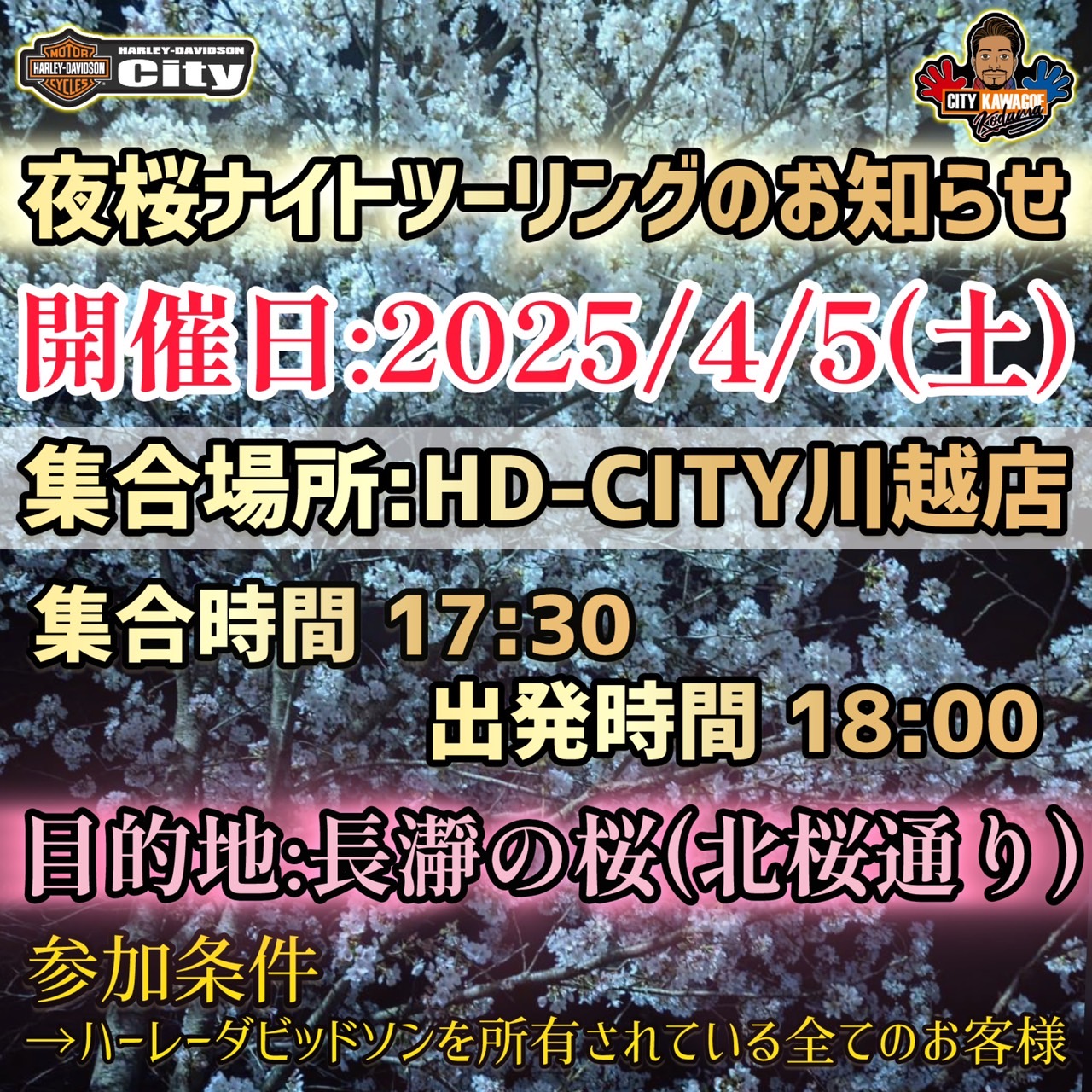 お知らせ写真