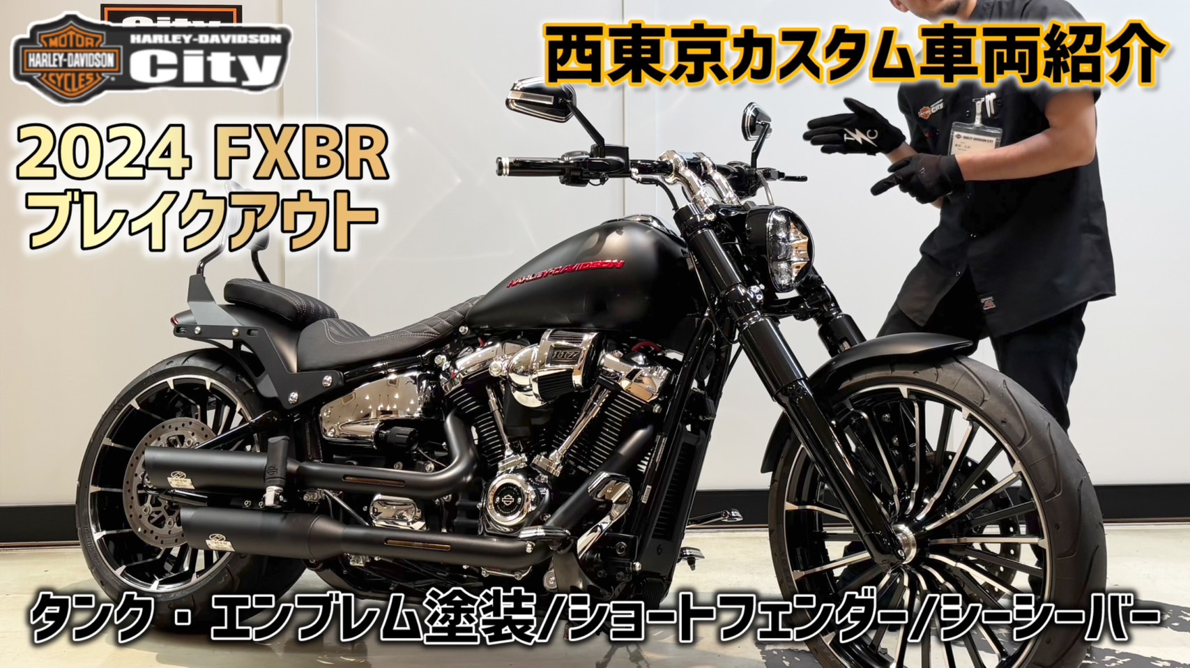 ❤️新品ばら売り応談★大量❤️週刊ハーレーダビッドソン★２０個セット ハーレー初のアドベンチャー『PAN AMERICA』＆ストリート