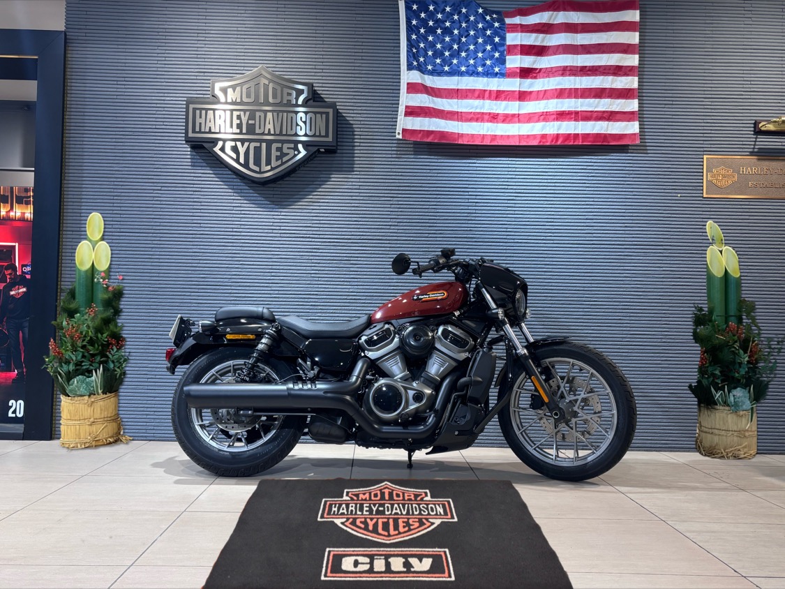 中古ハーレー写真