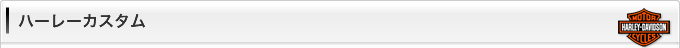 ハーレーカスタム
